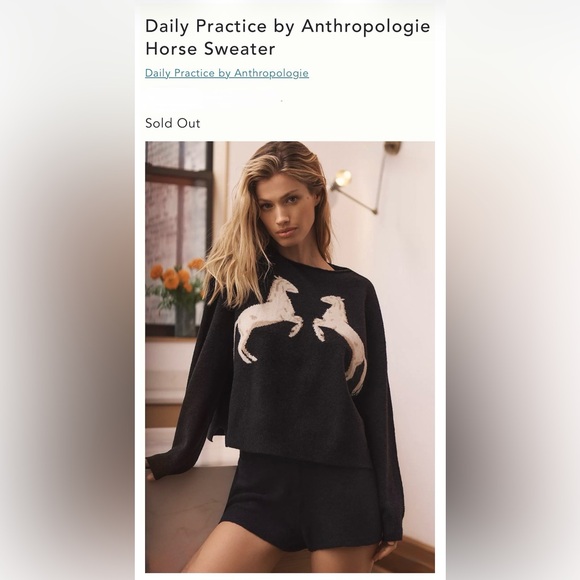 Daily Practice by Anthropologie Horse Jumper Sweater,Size-Small(Relaxed Fit) - Picture 2 of 12